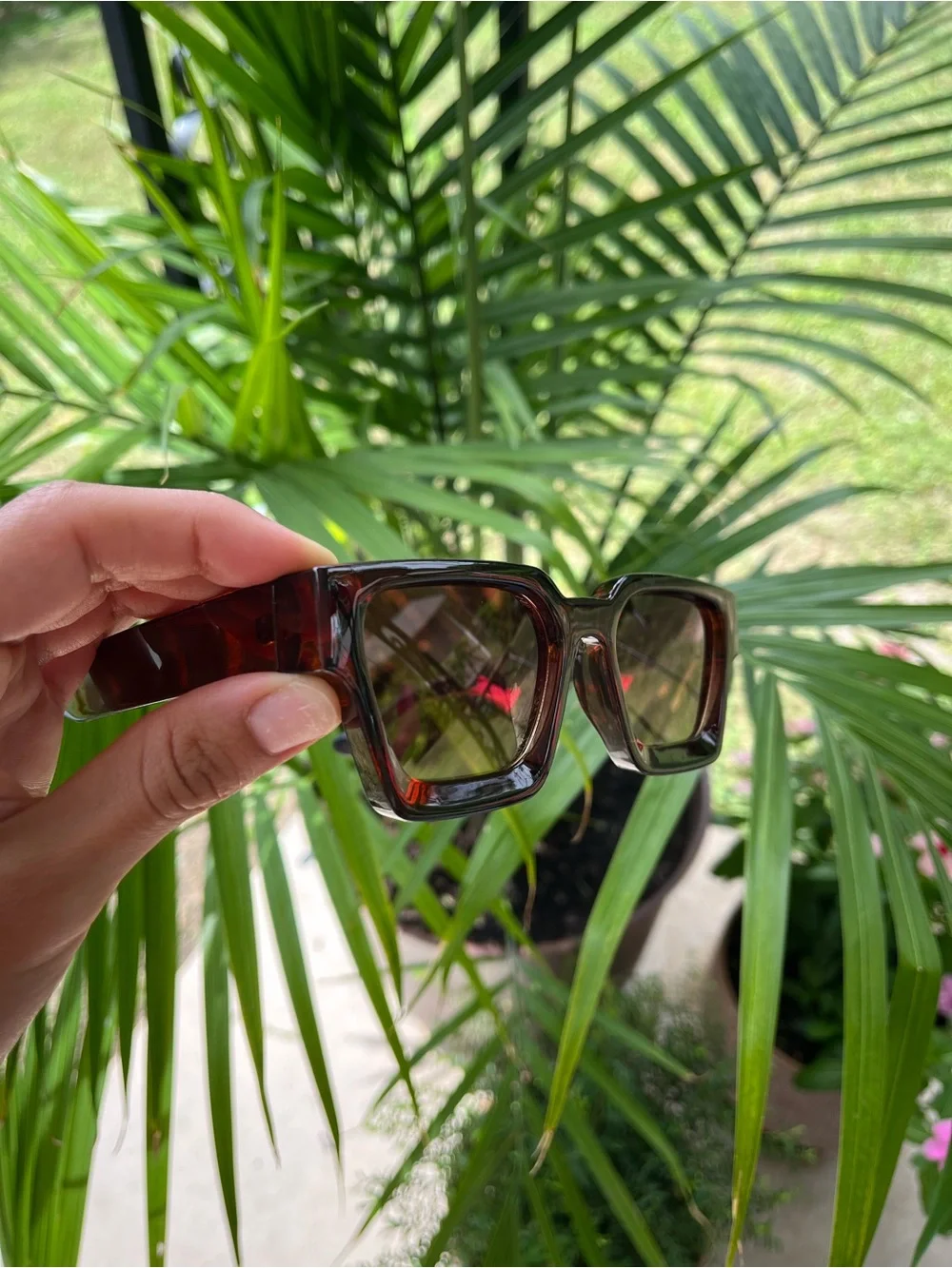 Sunglasses / Gafas